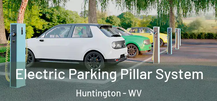  Electric Parking Pillar System Huntington - WV