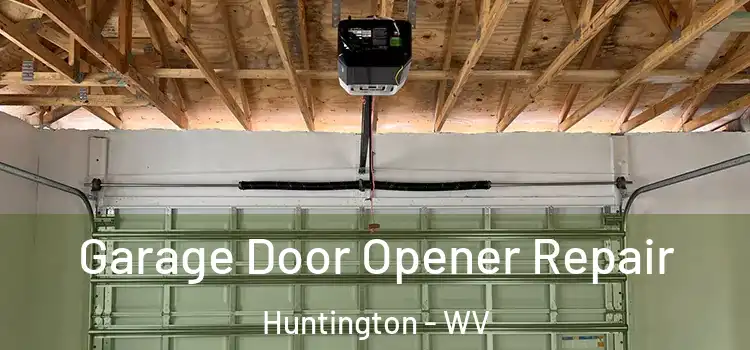  Garage Door Opener Repair Huntington - WV